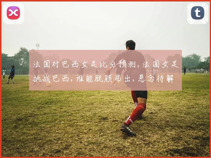 法国对巴西女足比分预测,法国女足挑战巴西,谁能脱颖而出,悬念待解,一触即发,拭目以待