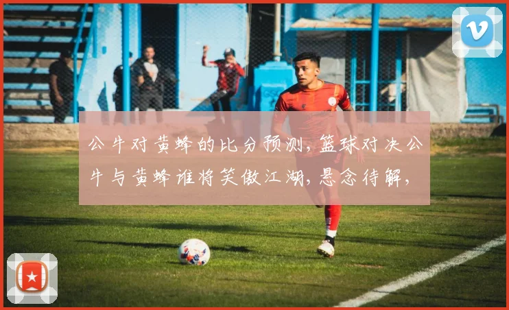 公牛对黄蜂的比分预测,篮球对决公牛与黄蜂谁将笑傲江湖,悬念待解,敬请期待