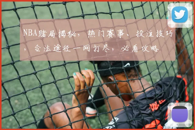 NBA赌局揭秘，热门赛事、投注技巧，合法途径一网打尽，必看攻略